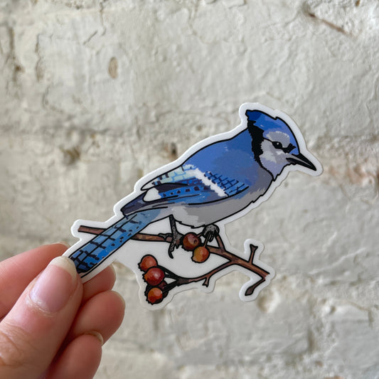Blue Jay Sticker