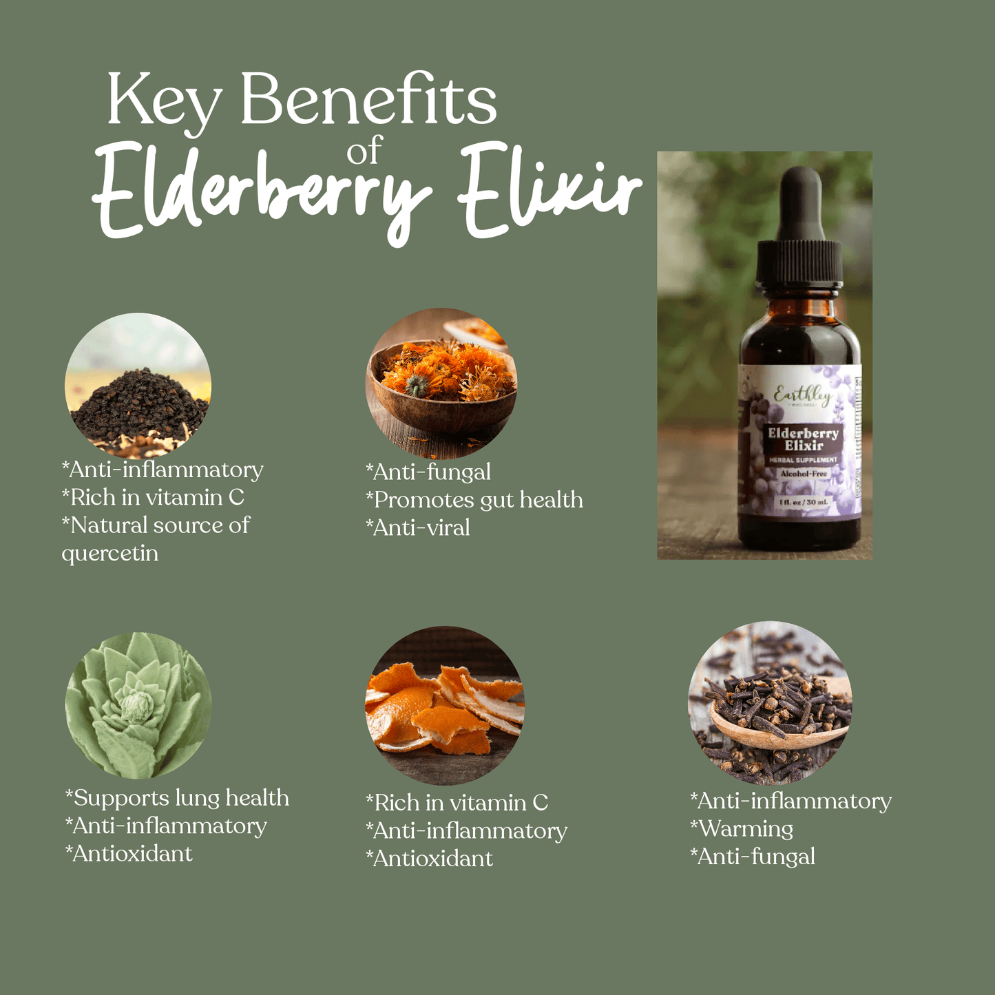 Elderberry Elixir - Earthley Wellness