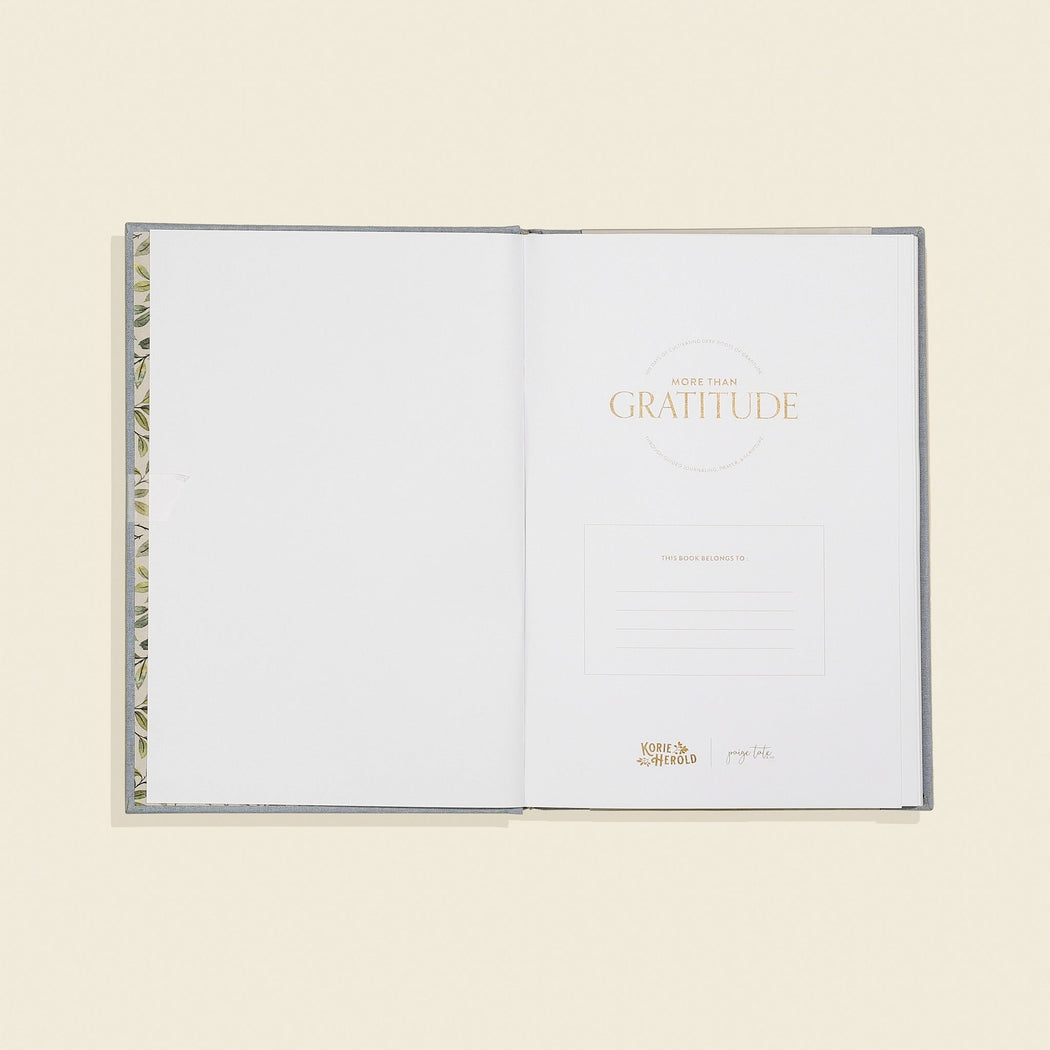More Than Gratitude Prayer Journal