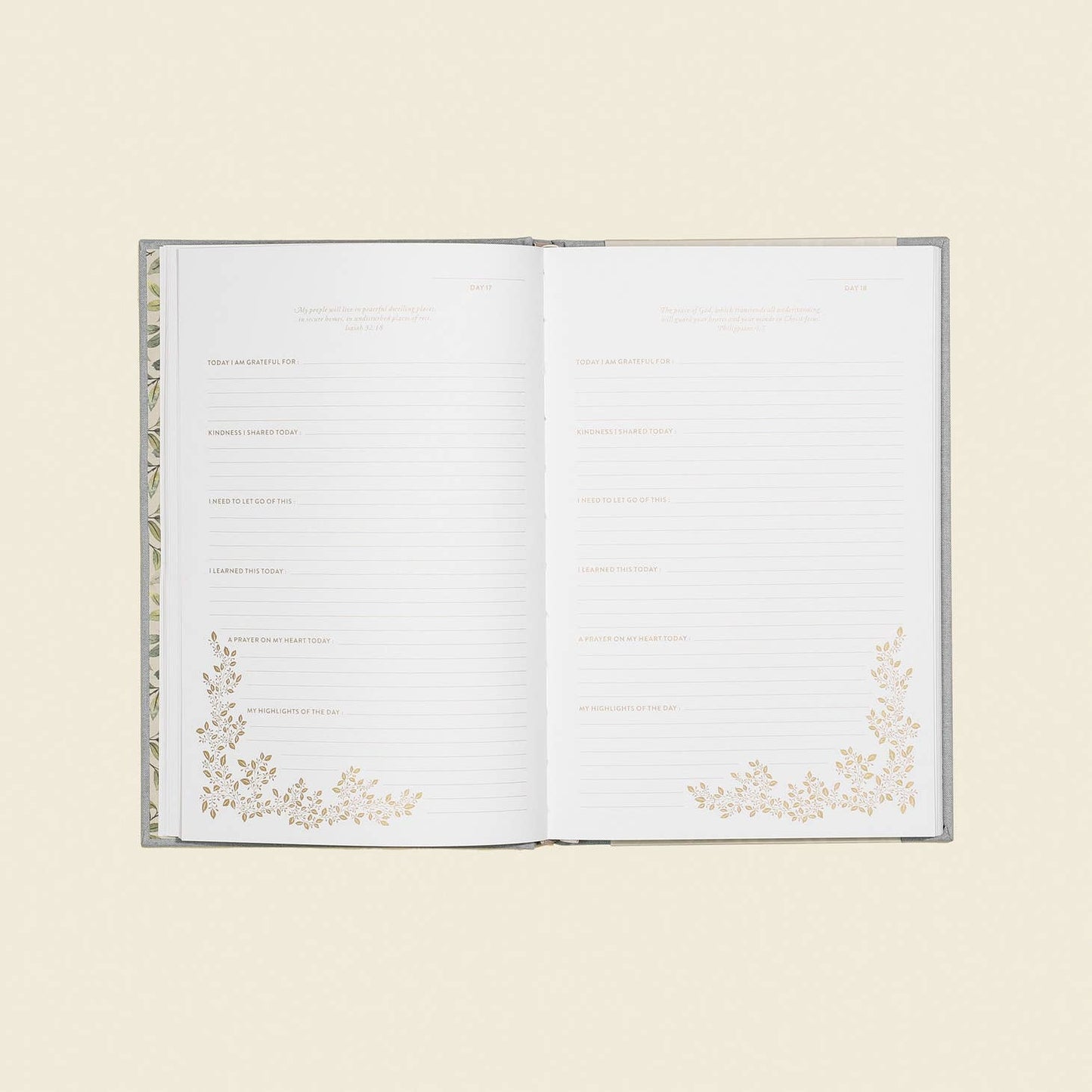 More Than Gratitude Prayer Journal