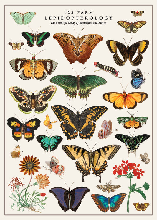 Bugs 'n Beauties Vintage Poster