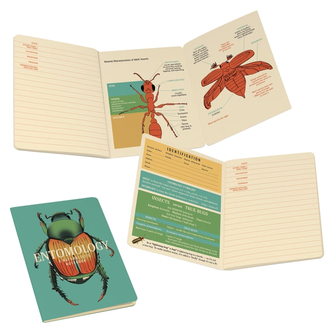 Entomology: An Insect Notebook