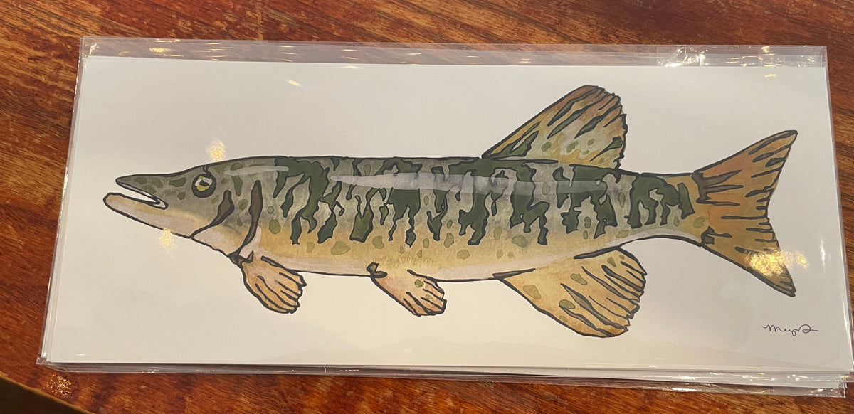Fish Prints Meg Davies