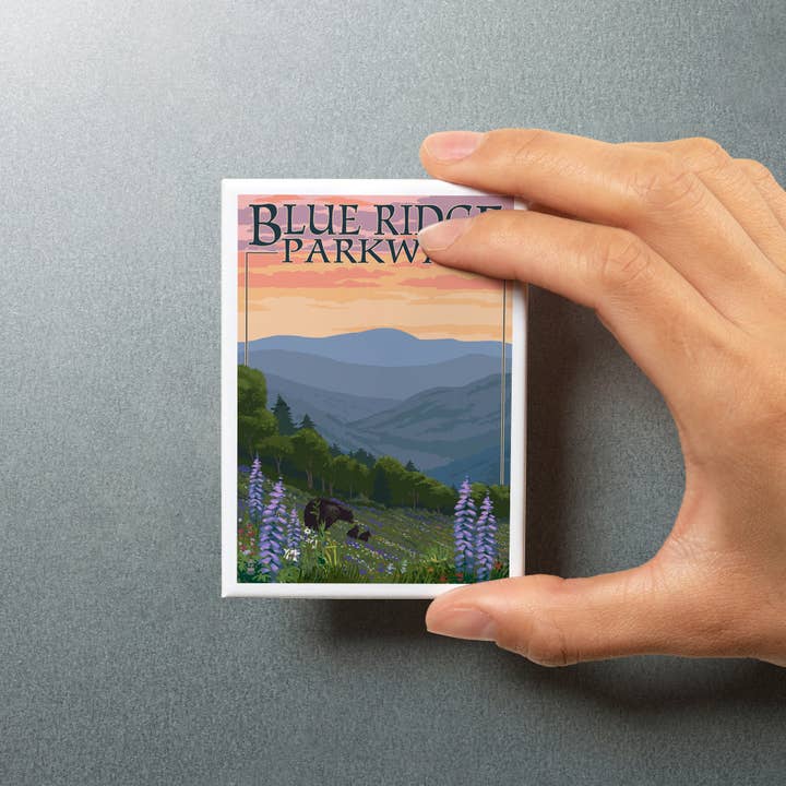 Blue Ridge Parkway Mountain Magnet