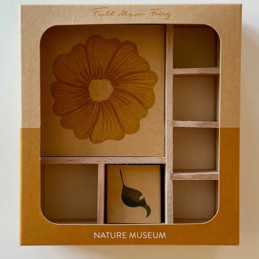 Nature Museum Wooden Box