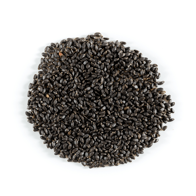 Basil Heirloom Seed Packets