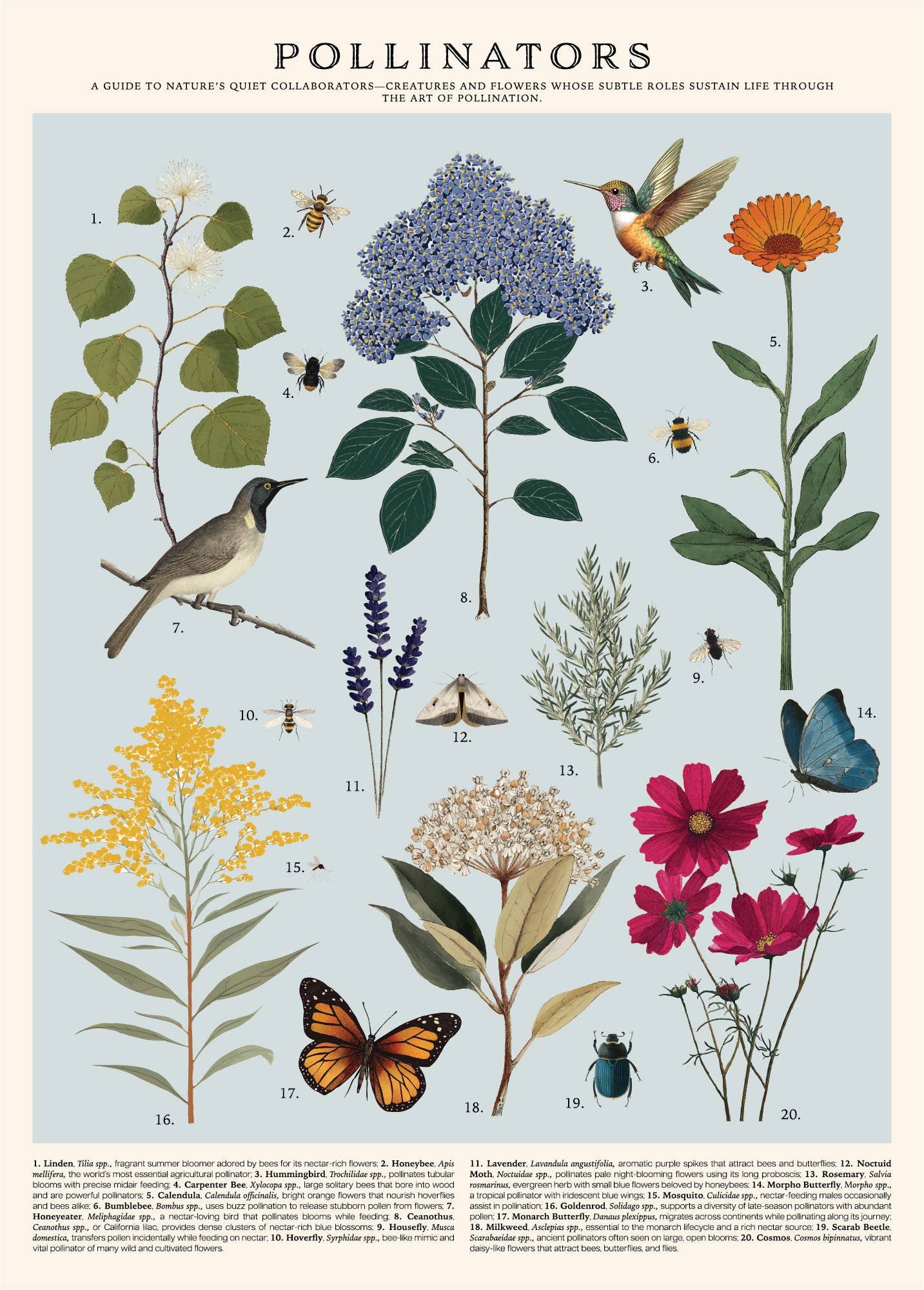 Pollinators Vintage Poster
