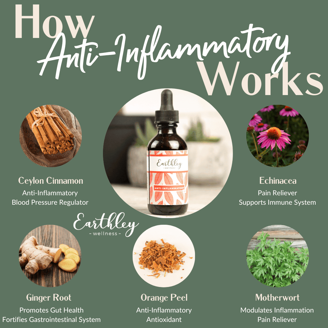 Anti-Inflammatory - Earthley Wellness