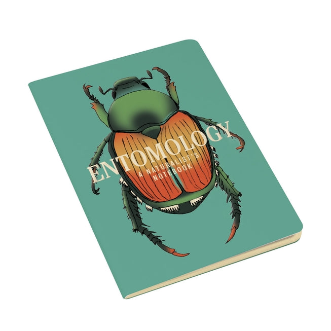 Entomology: An Insect Notebook