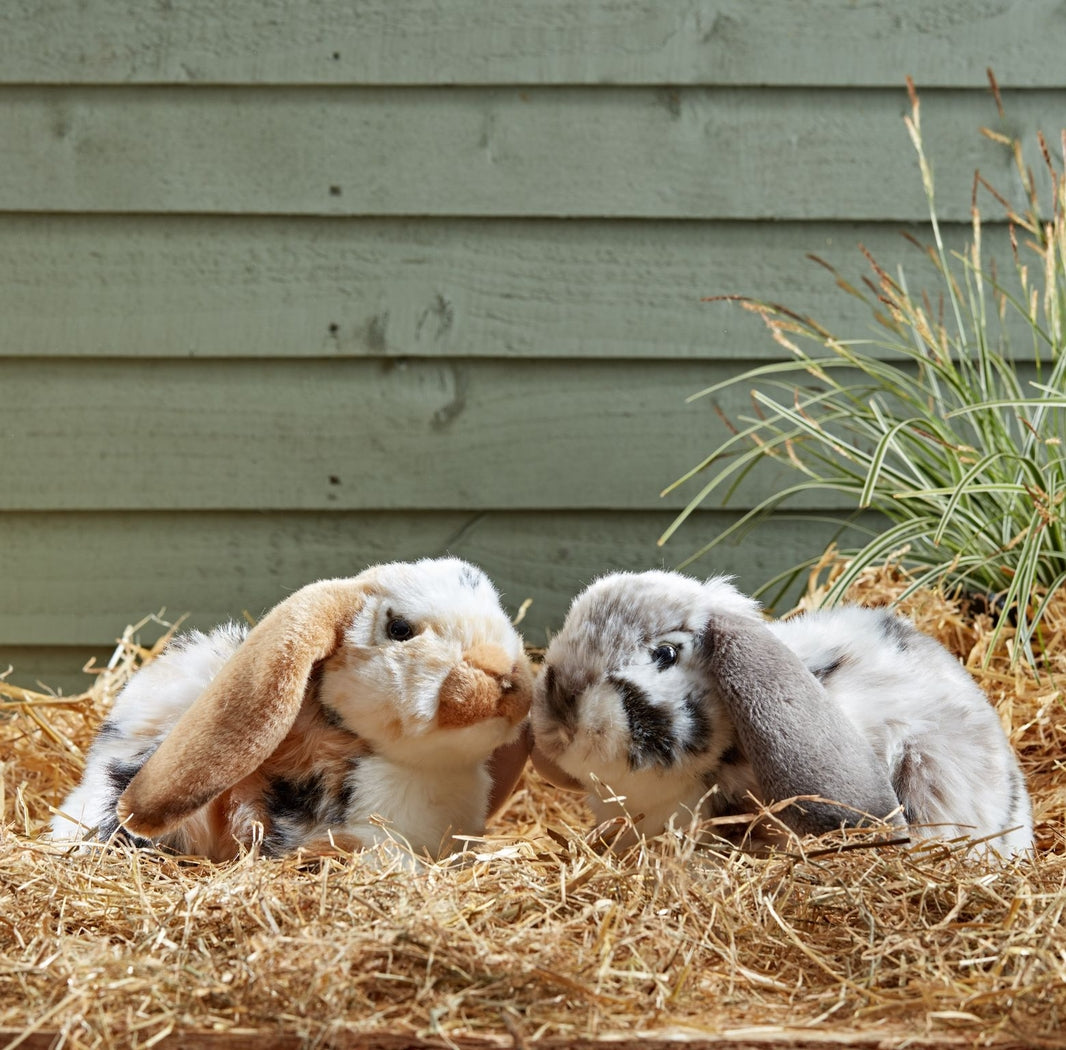 Brown Lop-Eared Bunny Stuffed Animal