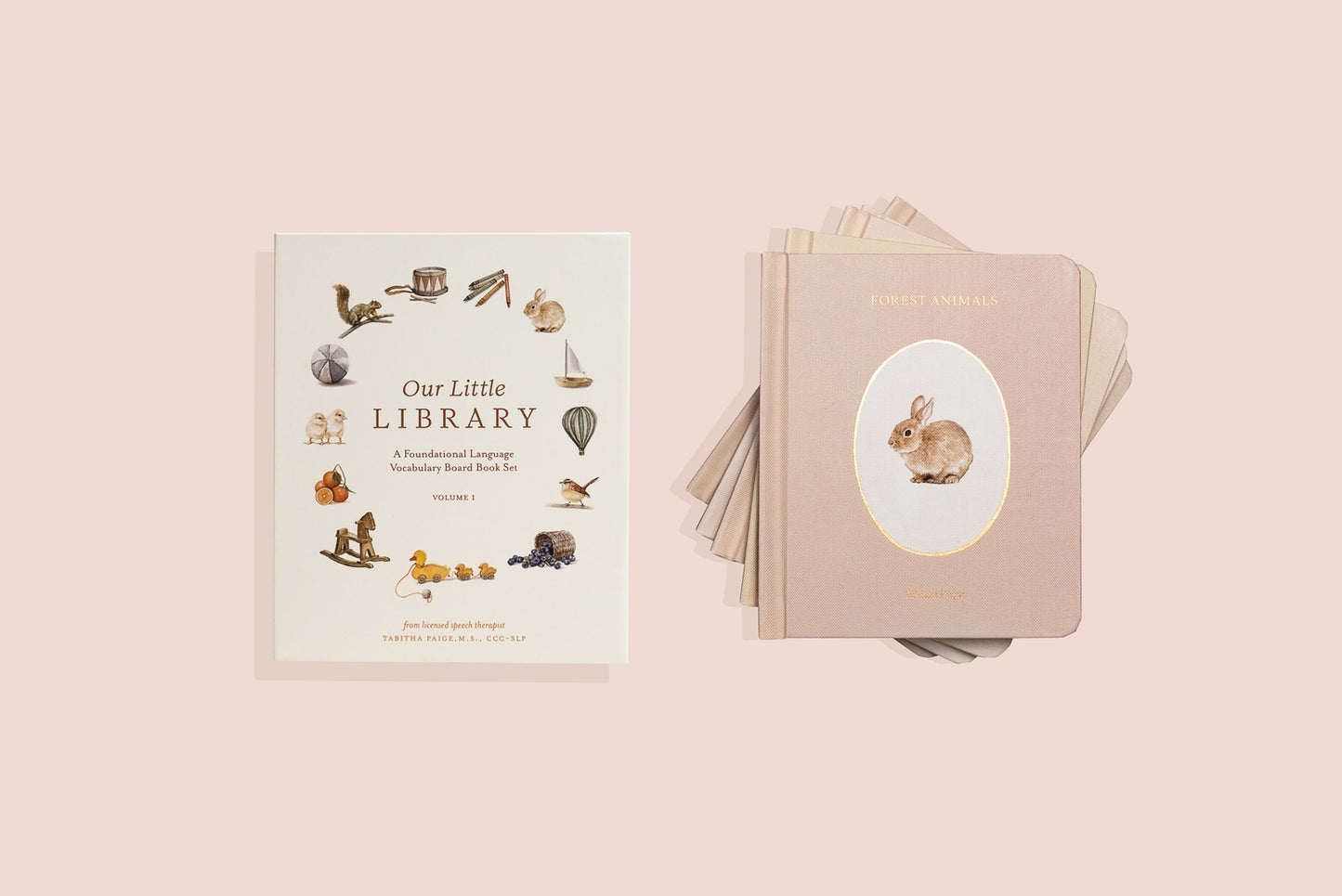 Our Little Library 5-Book Box Set