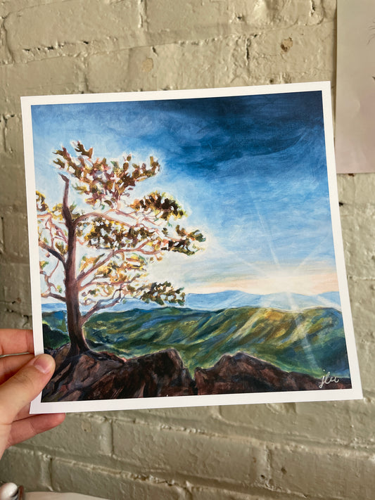 "Breakthrough" 8x8 Landscape Art Print - J Lee Mancier Art