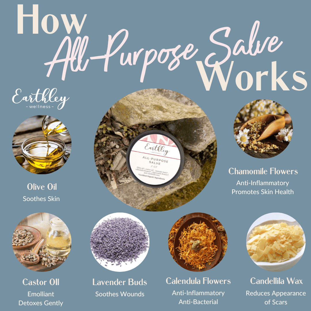 All Purpose Salve - Earthley Wellness