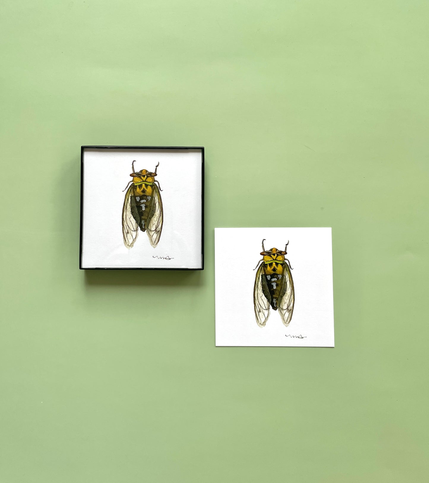 Cicada Square Print - Megan Davies Art
