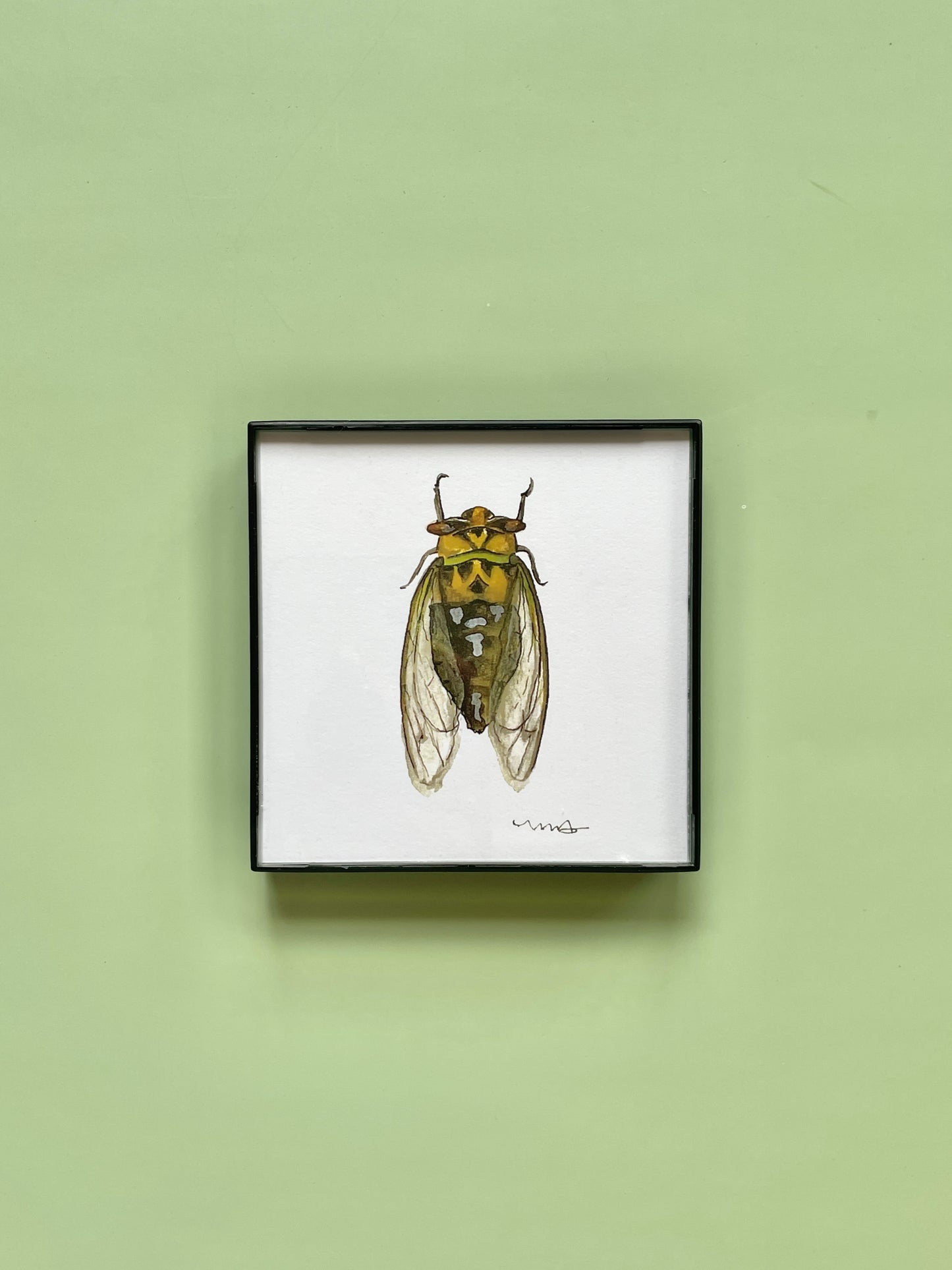 Cicada Square Print - Megan Davies Art