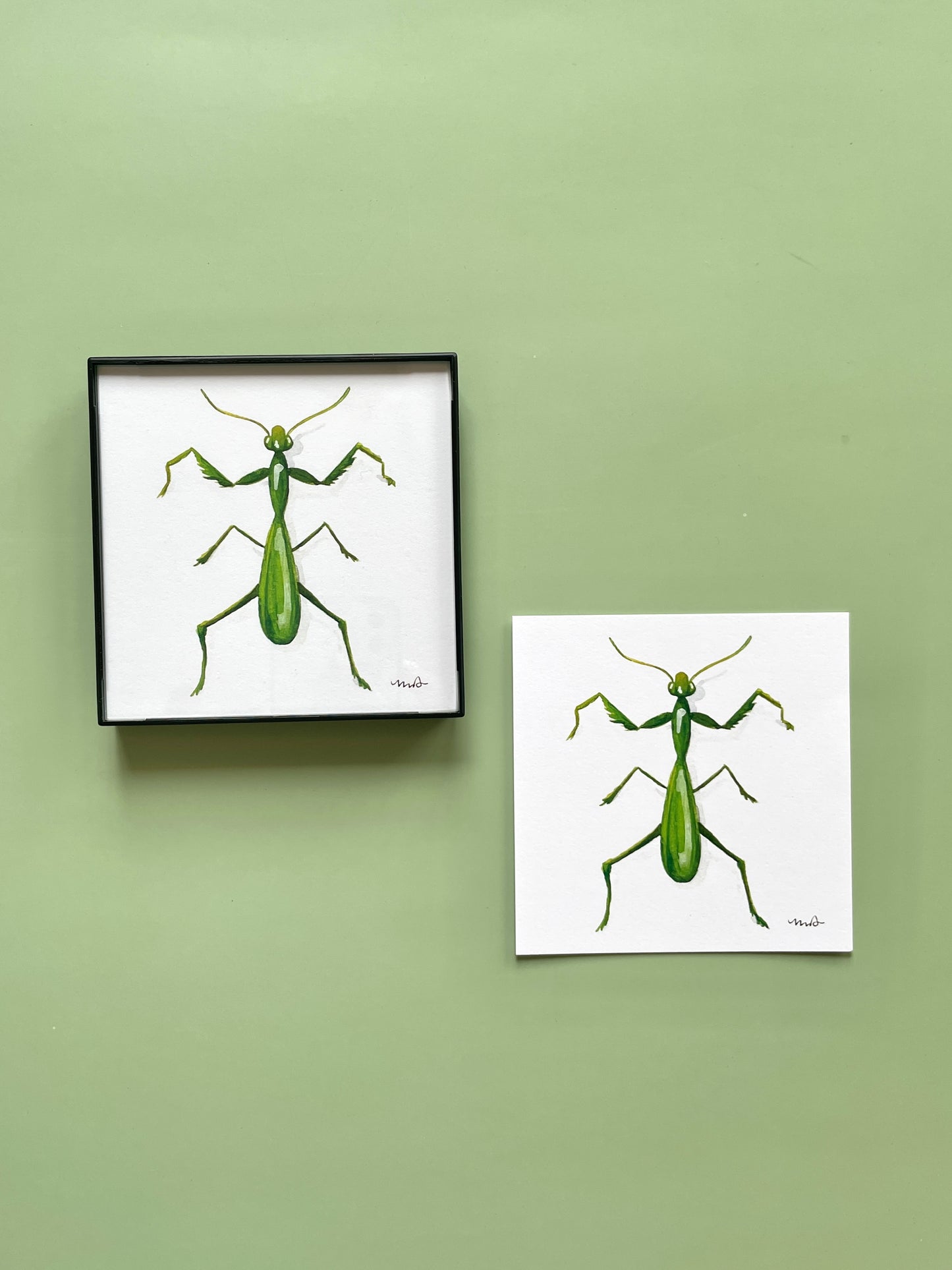 Praying Mantis Square Print - Megan Davies Art