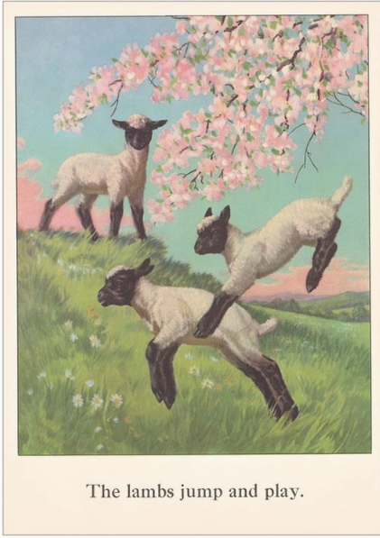Spring Lambs Vintage Postcard