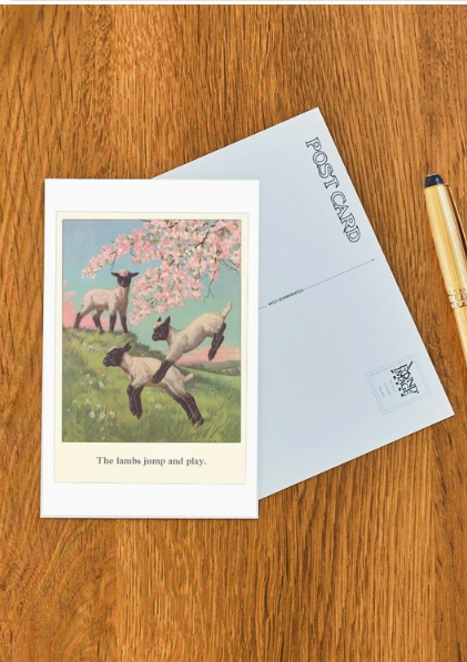 Spring Lambs Vintage Postcard