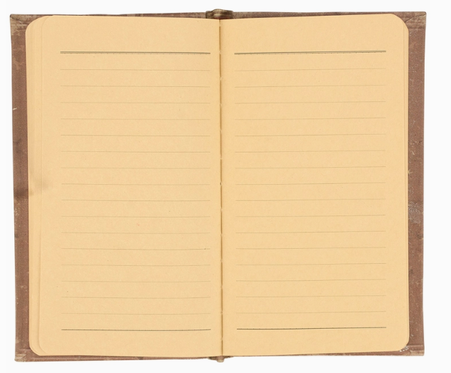 Vintage Moth Journal