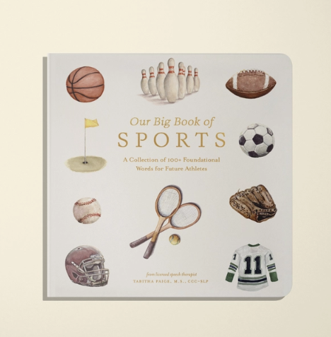 Our Big Book of Sports