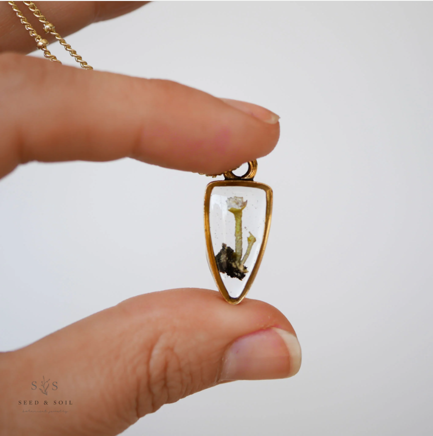Arrowhead Mushroom Necklace - Seed and Soil