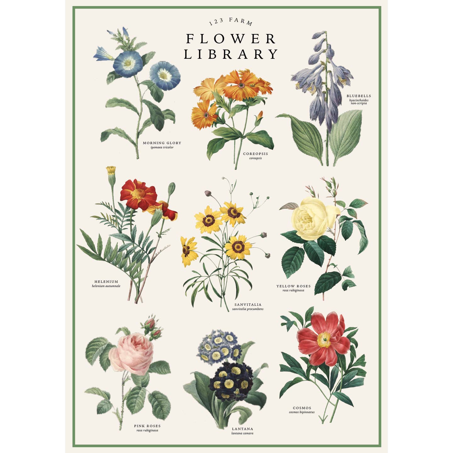 Flower Library Botanical Print Poster