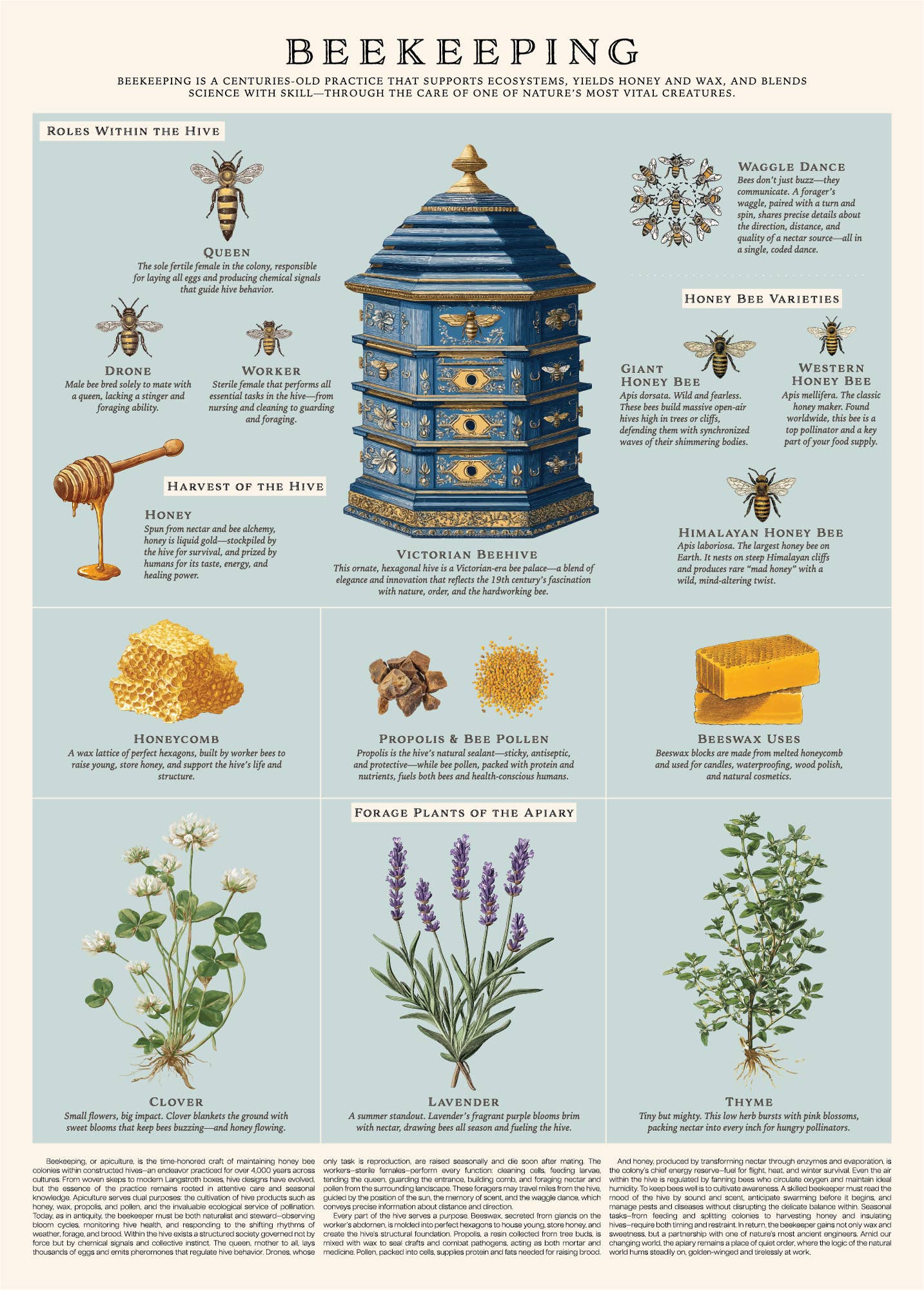 All the Buzz Beekeeping Poster