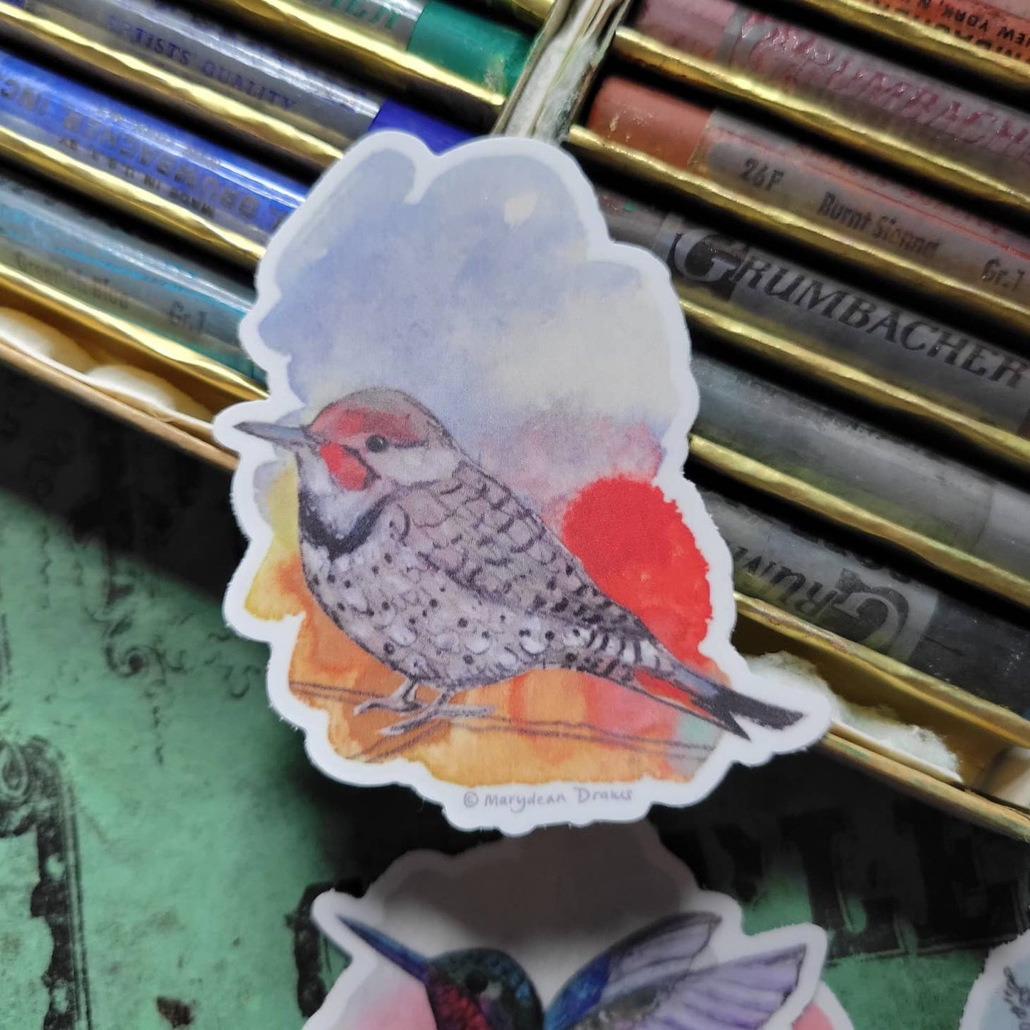 Marydean Draws Sticker - "Northern Flicker"