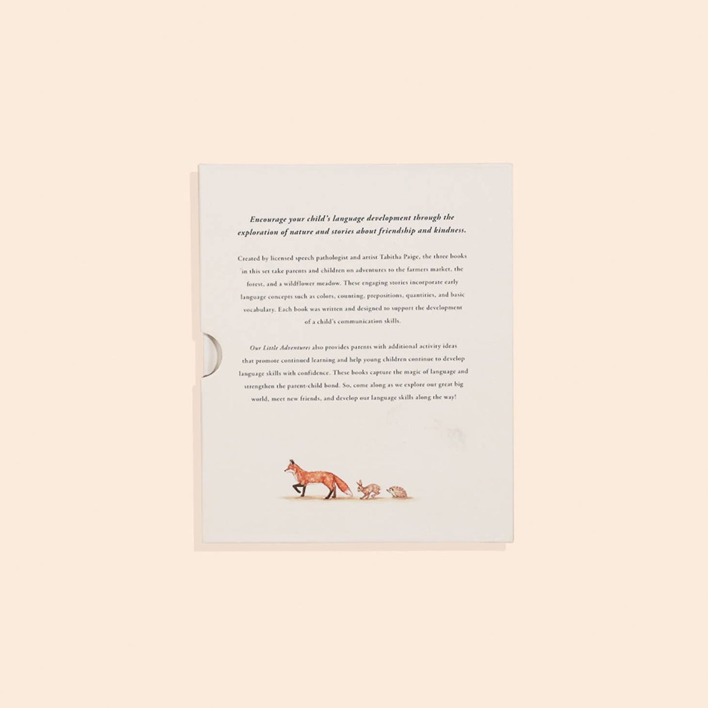 Our Little Adventures 3-Book Box Set