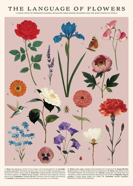 Language of Flowers Vintage Posters