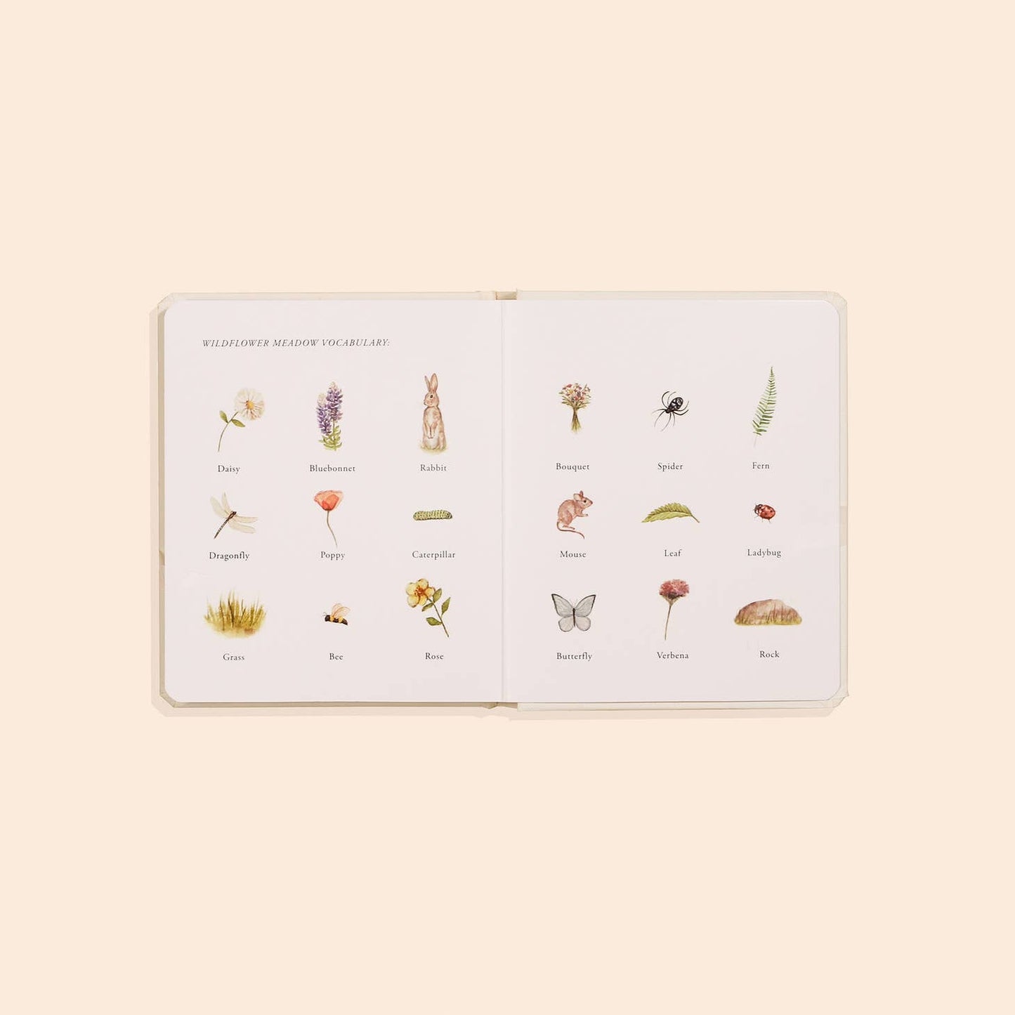 Our Little Adventures 3-Book Box Set