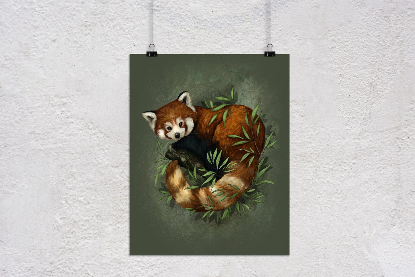 Red Panda Bear Art Print - Joanna Garcia Art