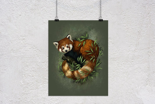 Red Panda Bear Art Print - Joanna Garcia Art