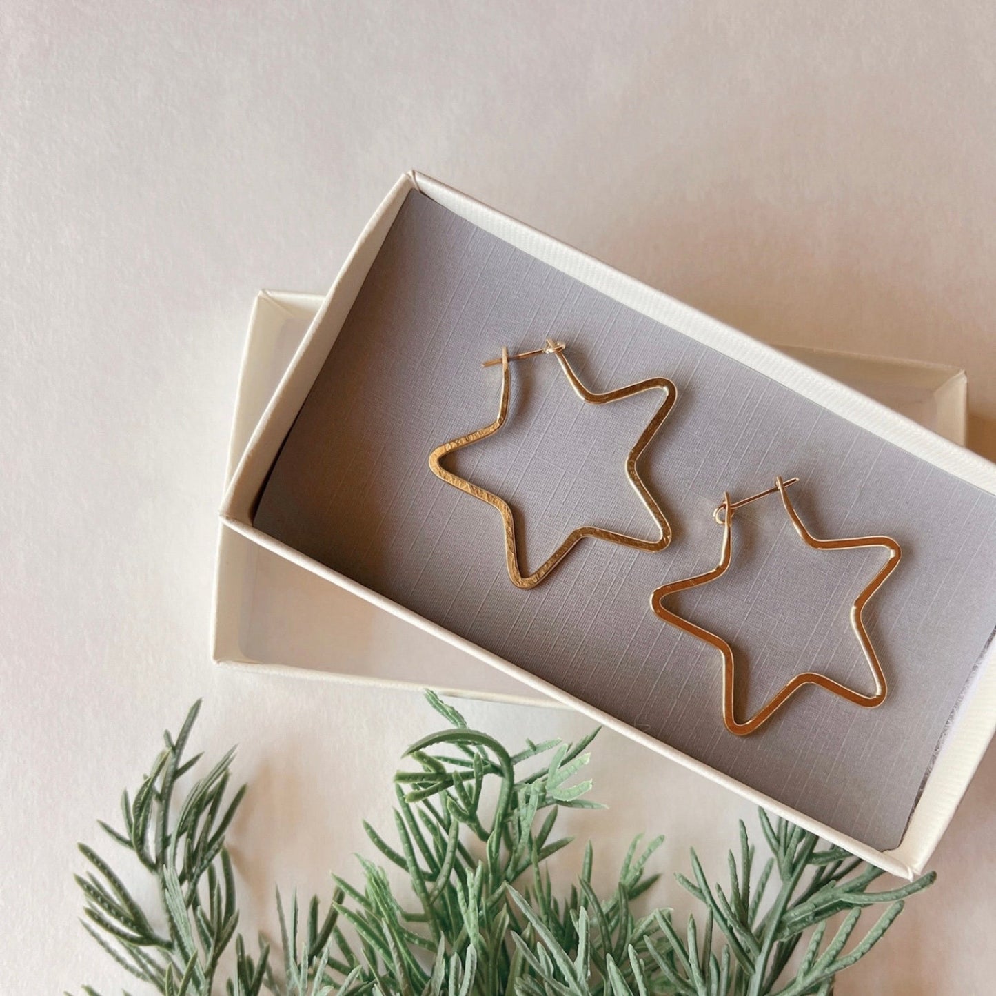 Brass Star Hoop Earrings - Free Range and Feral