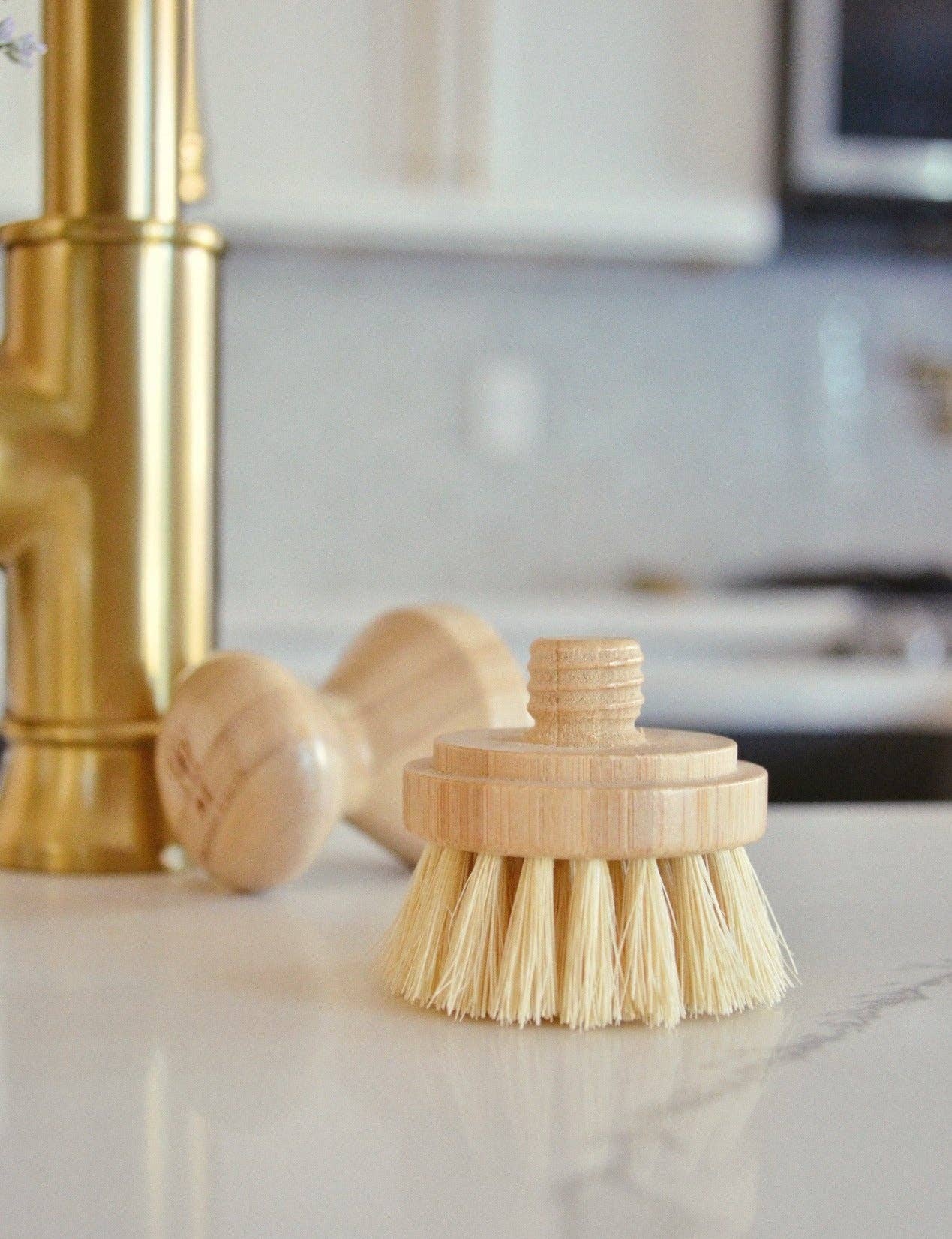 Sustainable Brush Replacement Head