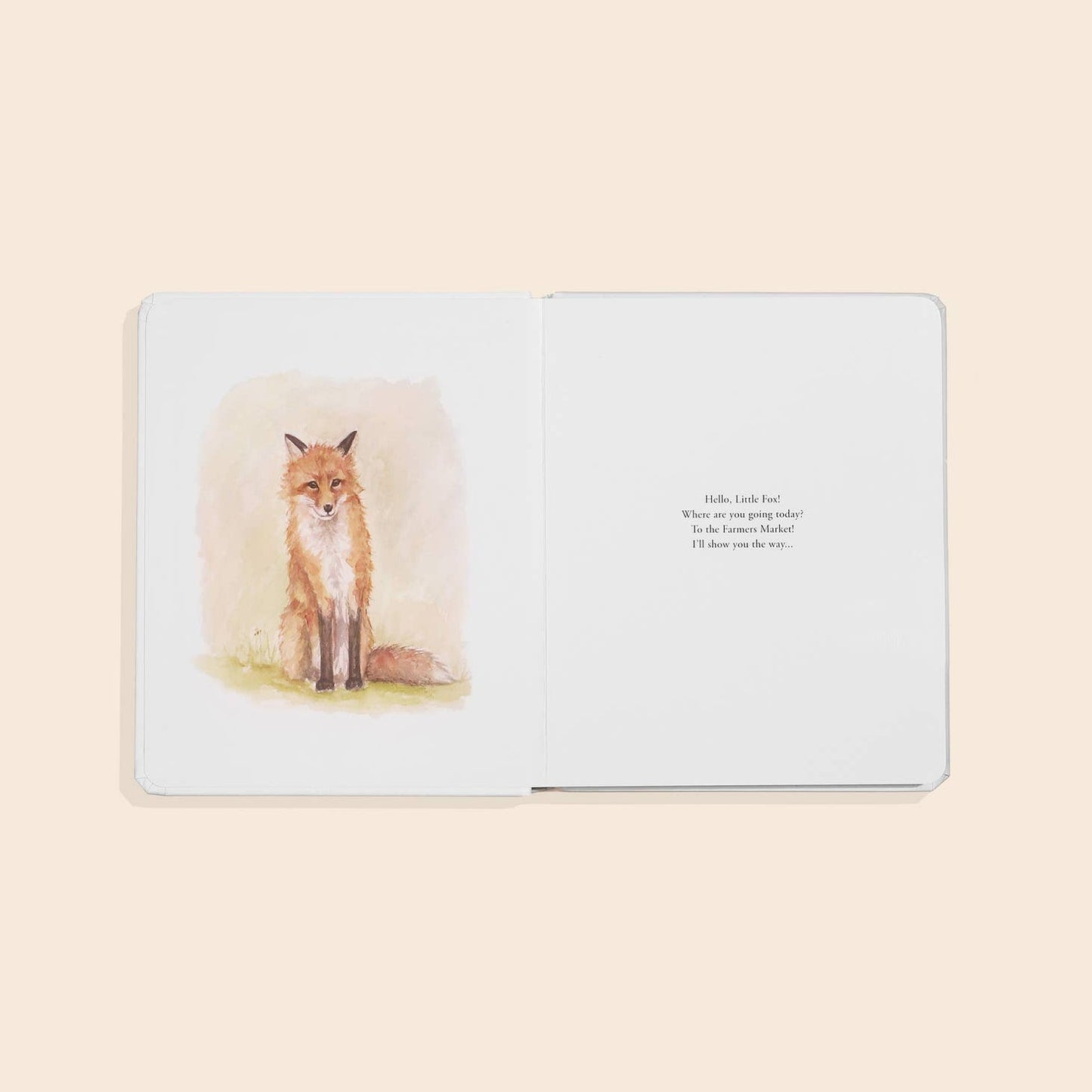 "Our Little Adventures to the Farmers Market" Kids Book
