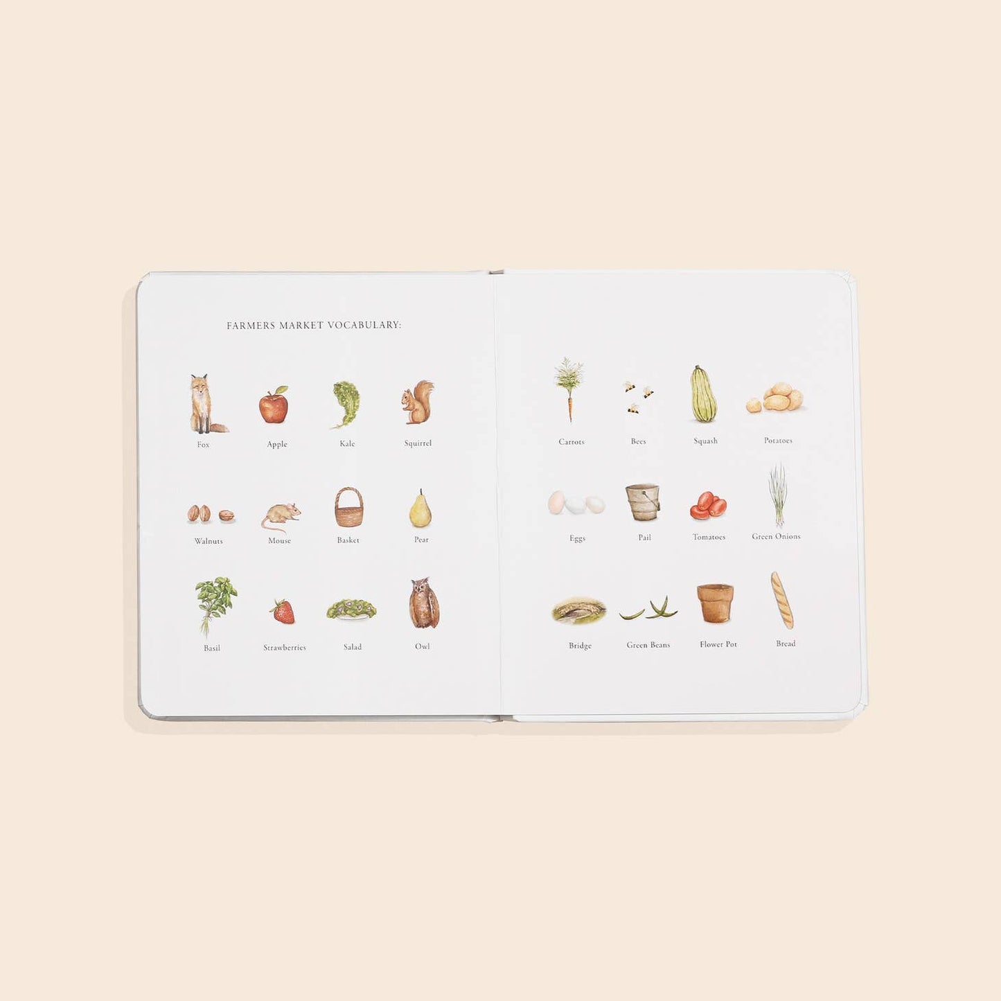 "Our Little Adventures to the Farmers Market" Kids Book