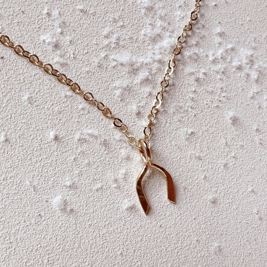 Dainty Wishbone Charm Necklace - Free Range & Feral