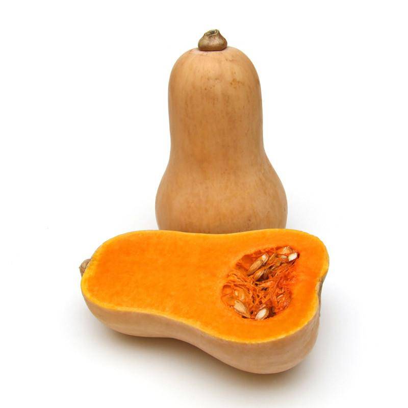 Butternut Heirloom Garden Seed Packets