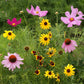 Butterfly Habitat Flower Seed Tin