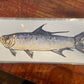 Fish Prints Meg Davies