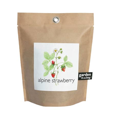 Strawberry Garden in a Bag