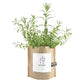 Lavender Garden in a Bag