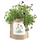 Happy Birthday Garden in a Bag