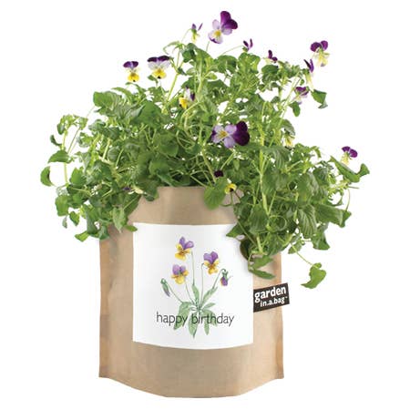 Happy Birthday Garden in a Bag