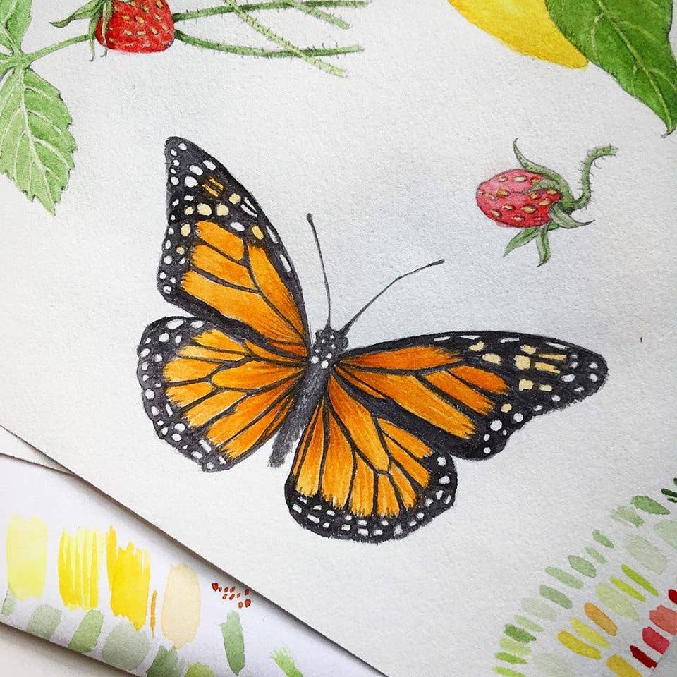 Butterfly Habitat Flower Seed Tin