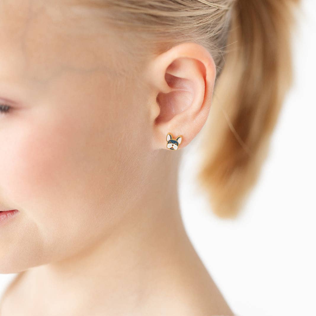 Frenchie Studs
