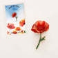 Poppy Pin Brooch