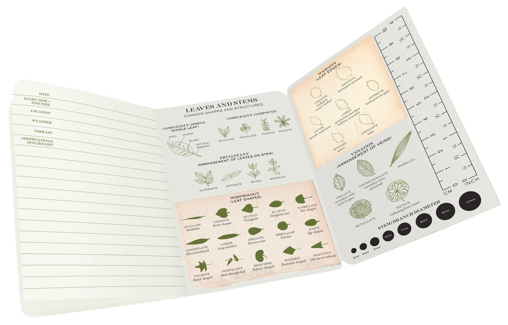 Botany: A Naturalist's Notebook