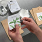 Basil Garden in a Bag